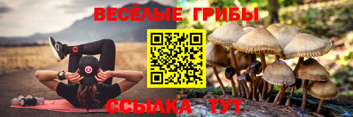 Псилоцибиновые грибы Magic Shrooms Когалым
