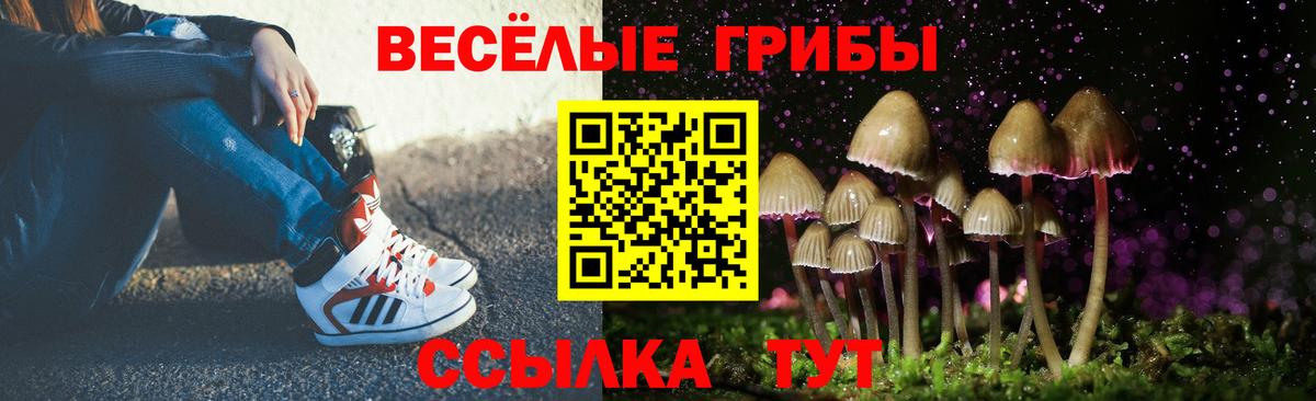 Псилоцибиновые грибы ЛСД  Псилоцибиновые грибы Psilocybe  Вход с VPN  Когалым 